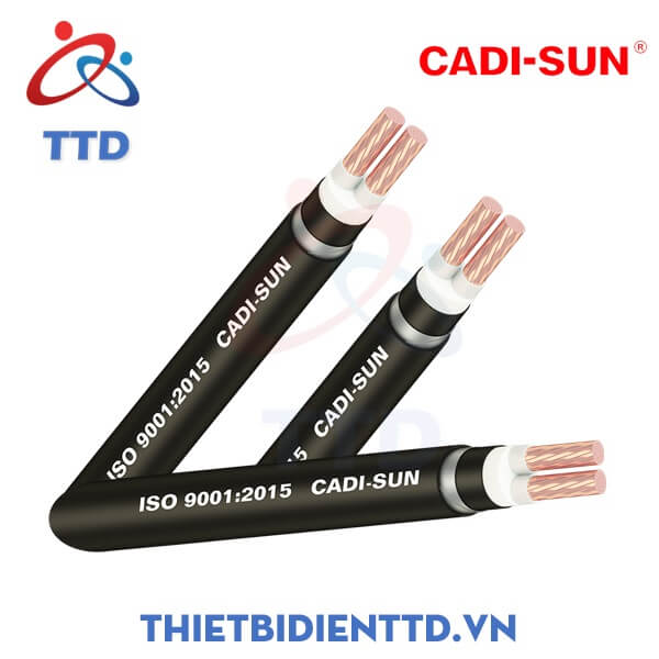 cap-ngam-2-ruot-0_6-1kv-cu-xlpe-pvc-dsta-pvc-cadisun