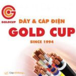 GOLDCUP